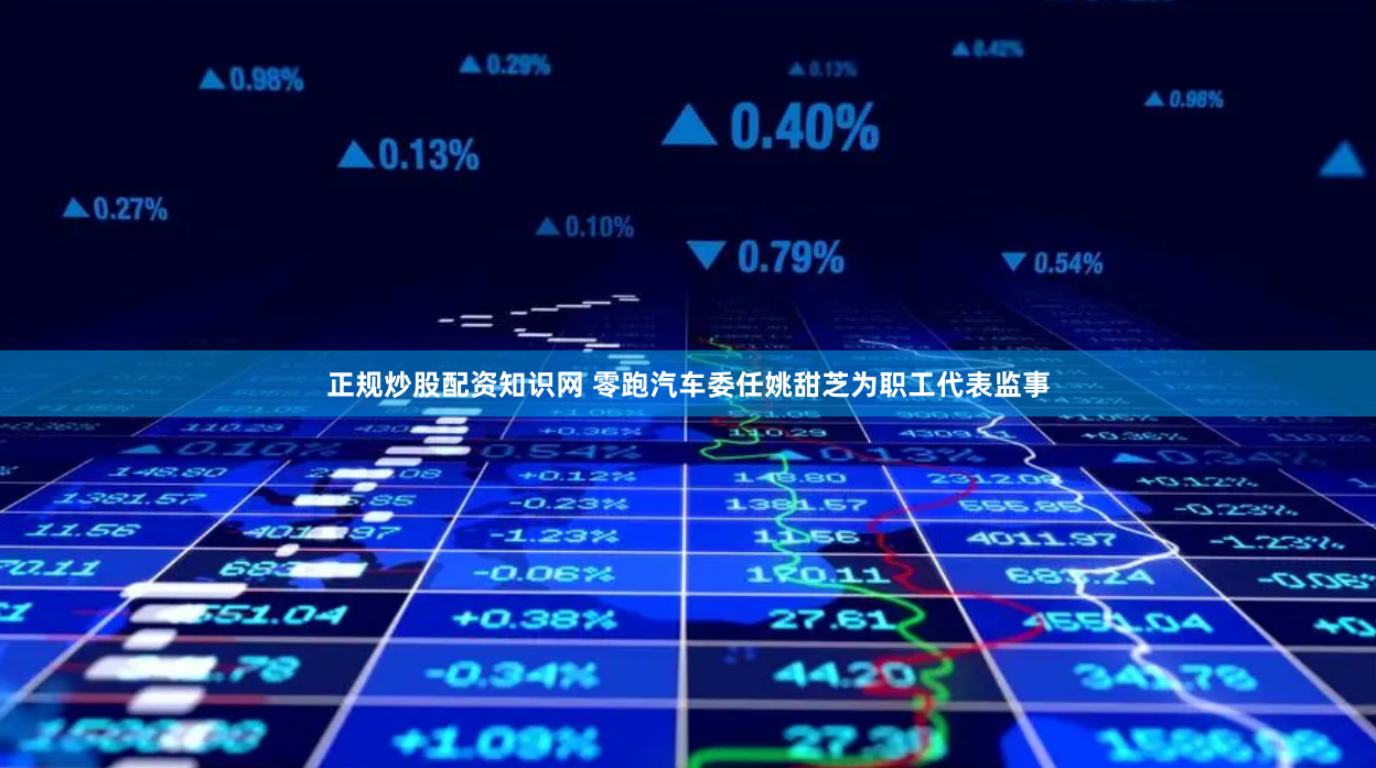 正规炒股配资知识网 零跑汽车委任姚甜芝为职工代表监事