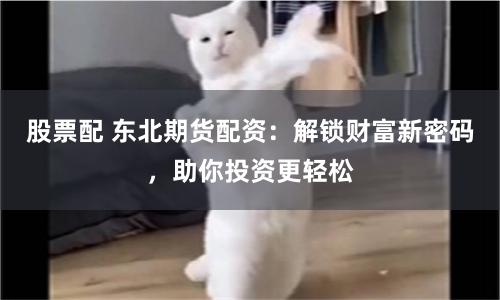 股票配 东北期货配资：解锁财富新密码，助你投资更轻松