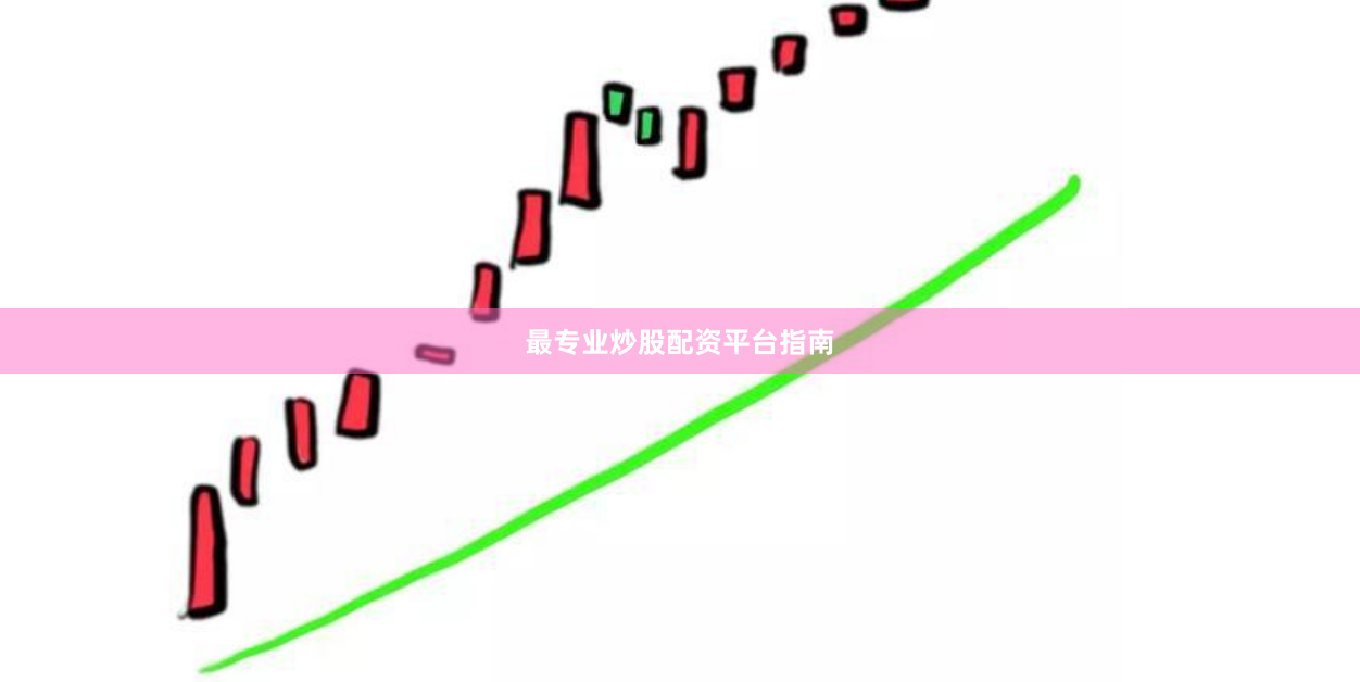 最专业炒股配资平台指南