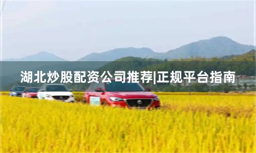湖北炒股配资公司推荐|正规平台指南